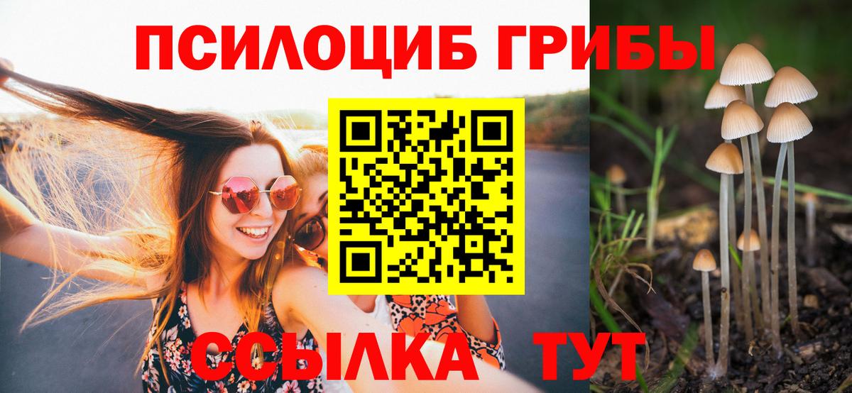 Галлюциногенные грибы Cubensis Карачаевск